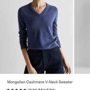 Mongolian Cashmere V Neck Sweater